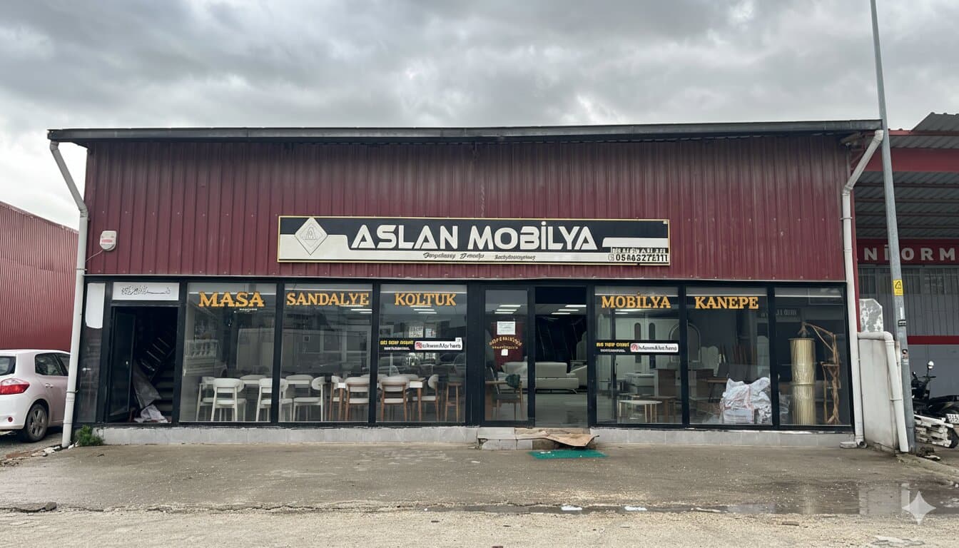 Aslan Mobilya Kurucusu